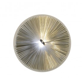 Erizo Deshollinador Acero