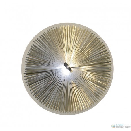 Erizo Deshollinador Acero 